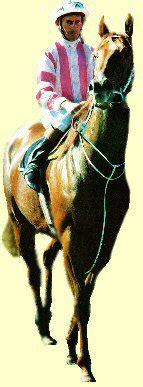manikato racehorse.